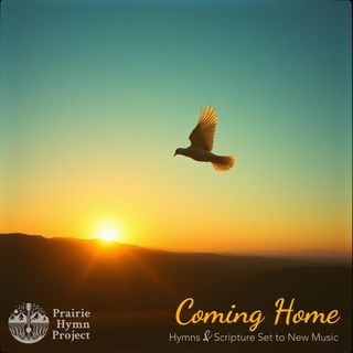 Dove flying in front of a setting sun.